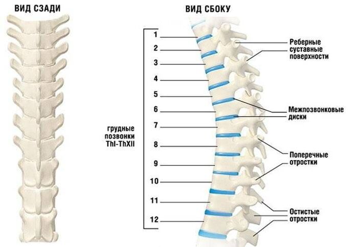 Cervical osteochondrosis