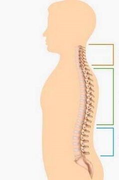 osteochondrosis injury from different parts of the spine